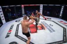 PRESSEFOTO | WE LOVE MMA
