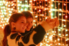 PRESSEFOTO | CHRISTMAS GARDEN