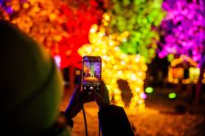 PRESSEFOTO | CHRISTMAS GARDEN