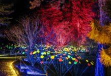 PRESSEFOTO | CHRISTMAS GARDEN