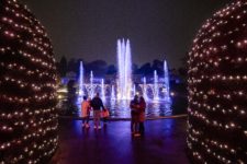 PRESSEFOTO | CHRISTMAS GARDEN