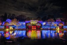 PRESSEFOTO | CHRISTMAS GARDEN