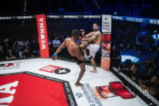 PRESSEFOTO | WE LOVE MMA