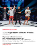 PRESSEFOTO | WE LOVE MMA