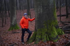 Pressefoto 2 Peter Wohlleben - Ein Abend für den Wald