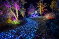 PRESSEFOTO | CHRISTMAS GARDEN